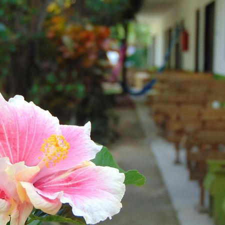 Crucero Tulum Bed & Breakfast Exterior foto