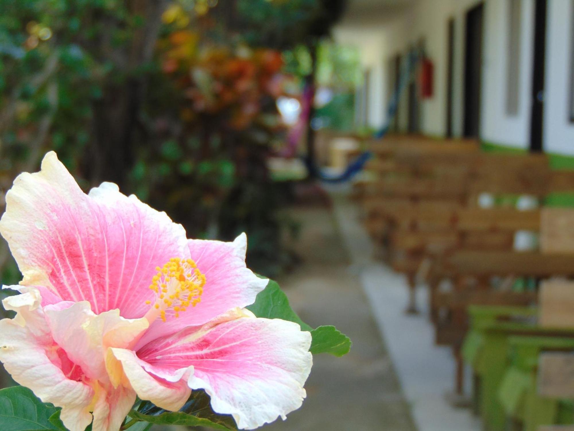 Crucero Tulum Bed & Breakfast Exterior foto